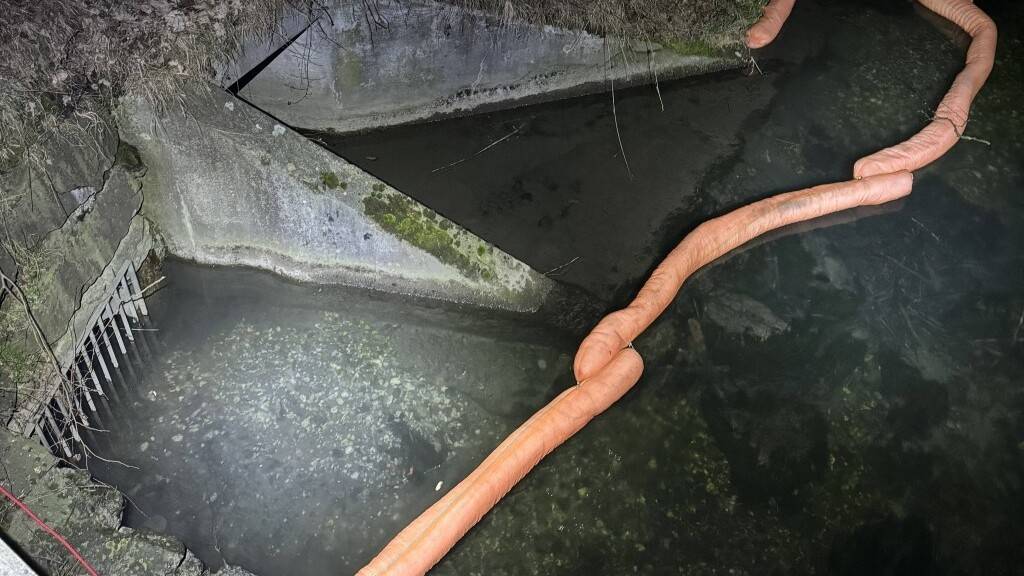 Mit einer Auffangvorrichtung wurde eine weitere Verschmutzung im Werdenberger Binnenkanal verhindert.