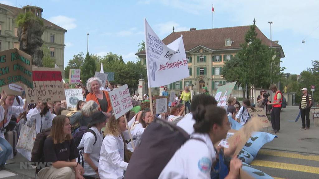 Nationale Klimademo Bern