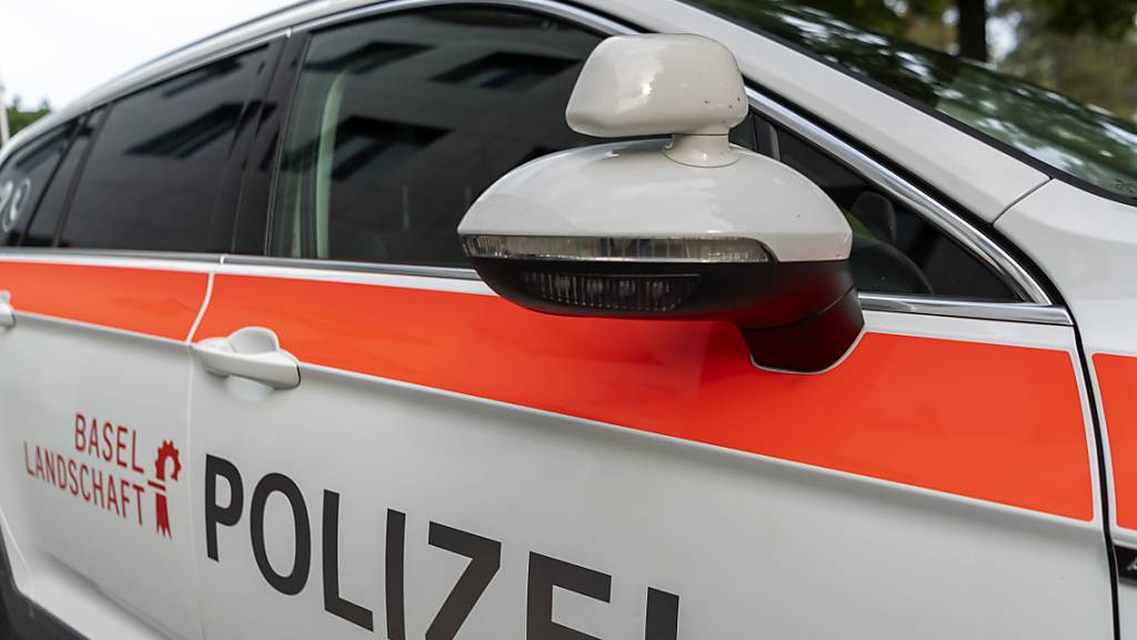 Die Polizei Basel-Landschaft registrierte an der Reinacher Fasnacht einige Tätlichkeiten und Körperverletzungen. (Archivbild)