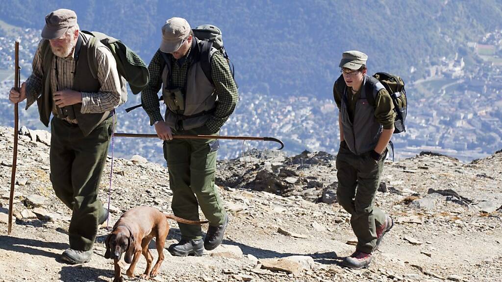 Schwyzer Jäger sollen Hunde an die kurze Leine nehmen