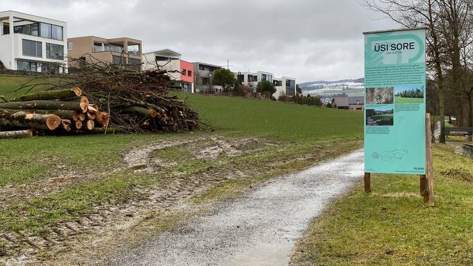 Oberkirch: Knatsch um Projekt «Üsi Sore»