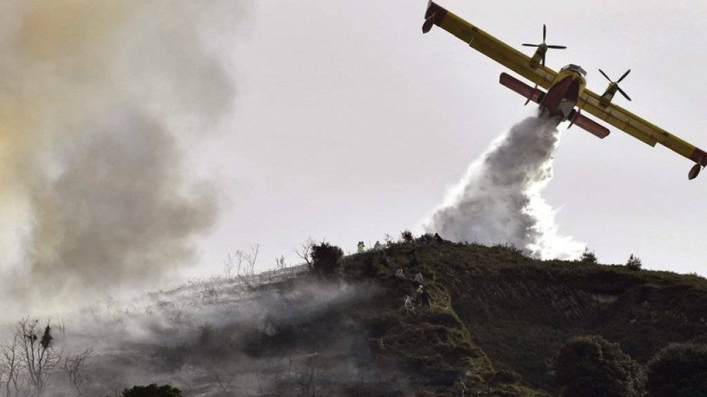 Geringer Niederschlag und ein warmer Herbst haben das Risiko von Bränden in weiten Teilen Spaniens erhöht. Hier löscht ein Flugzeug einen Brand in Berango im Norden des Landes.