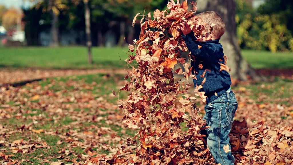 Herbst: geliebt oder gehasst?