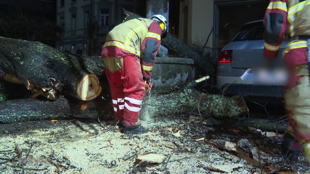  Stürmische Nacht: Polizei und Feuerwehr im Einsatz wegen Petra