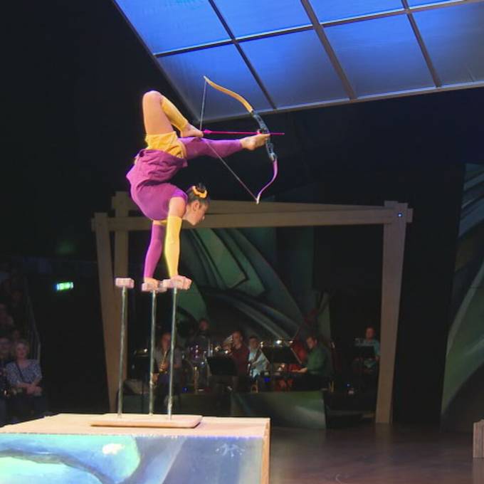 «Es war fantastisch»: Circus Monti sorgt an Premiere in Wohlen für Begeisterung