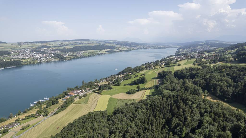 Aargau geht leer aus: Wer hat die Hallwilersee-Domain gekauft?