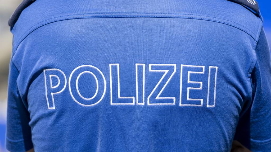 Luzerner Polizei nimmt vier mutmassliche Einschleichdiebe fest