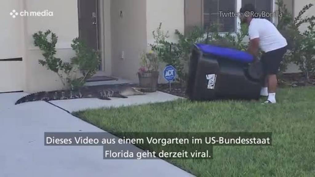 Mann in Florida fängt Alligator mit Mülltonne ein