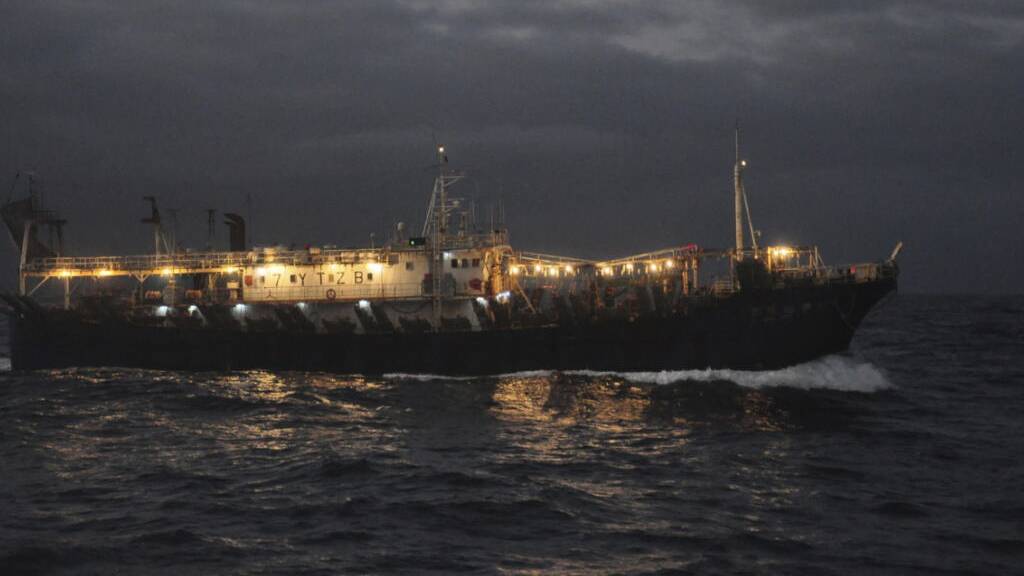 Vor den Galapagos-Inseln ist ein Boot mit 7500 Litern Diesel an Bord gesunken. (Symbolbild)
