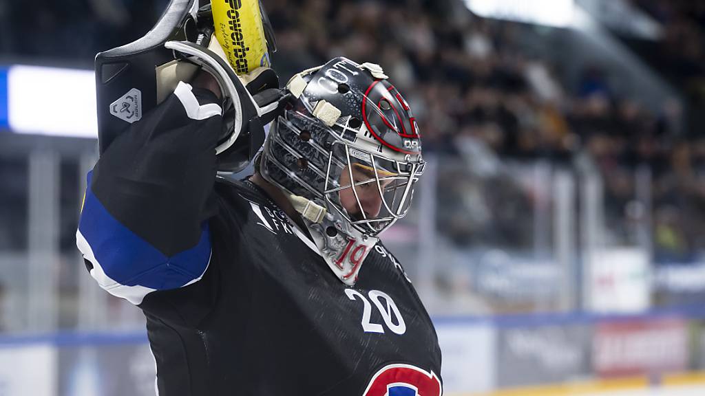 Spielt nach Rückenoperation wieder eine starke Saison: Fribourg-Goalie Reto Berra