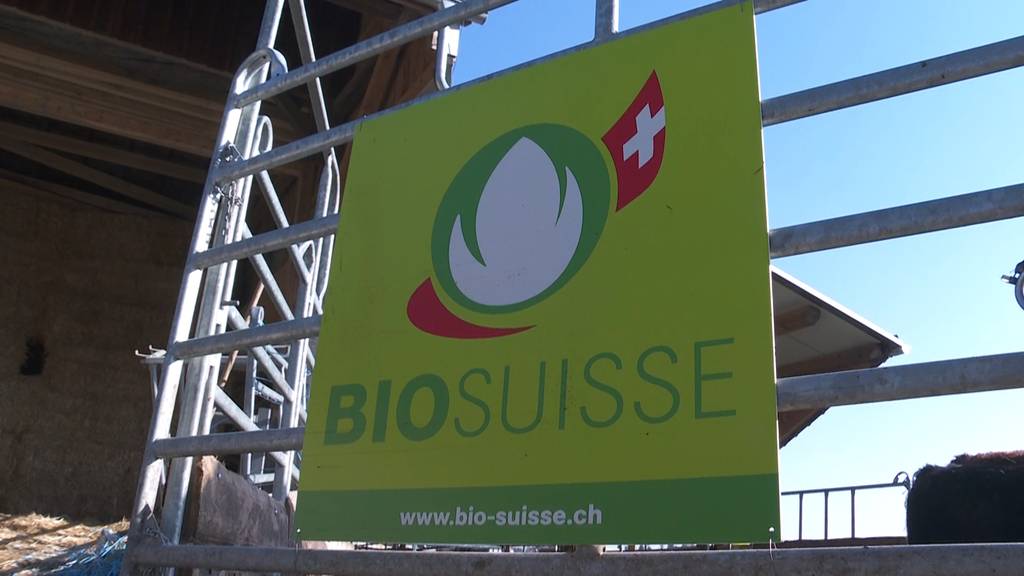 Um Bio-Zertifikat zurückzukriegen: Arenenberg teilt Betrieb auf
