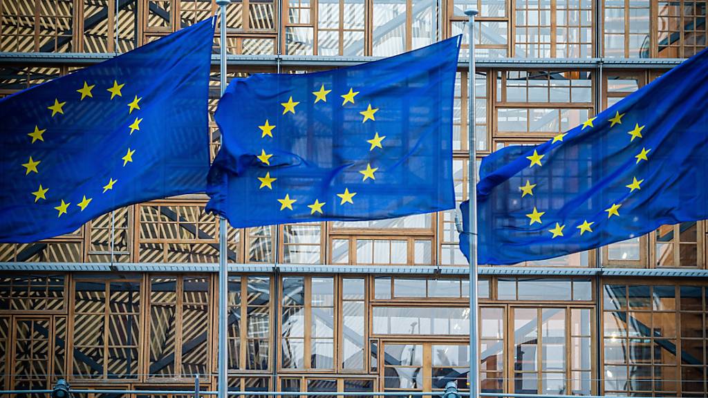 ARCHIV - Flaggen der Europäischen Union wehen im Wind vor dem Europa-Gebäude. Foto: Arne Immanuel Bänsch/dpa