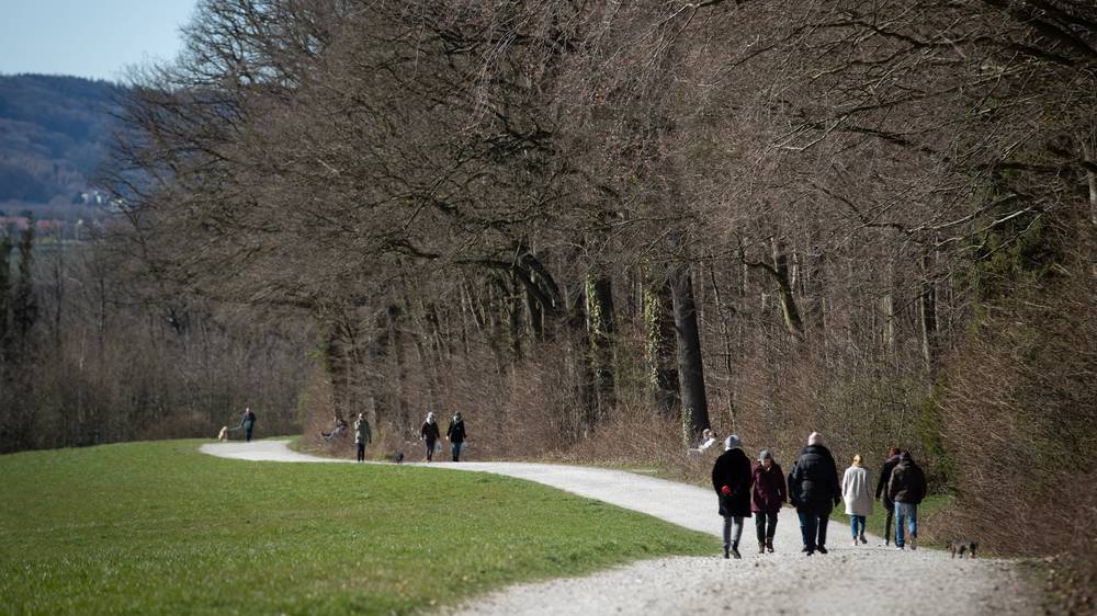 Wegen Lockdown: Gestresste Tiere, Abfallberge und Schäden in Badener Wälder