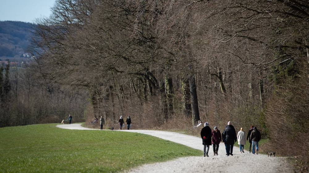 Wald Spaziergang