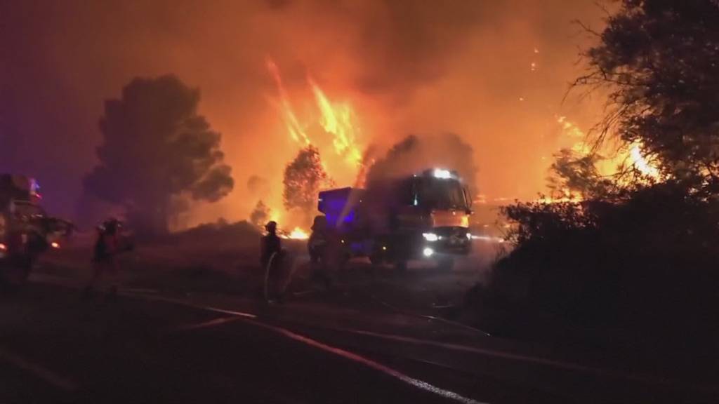 Südeuropa brennt: Feuerwehr wappnet sich für Waldbrände in unserer Region