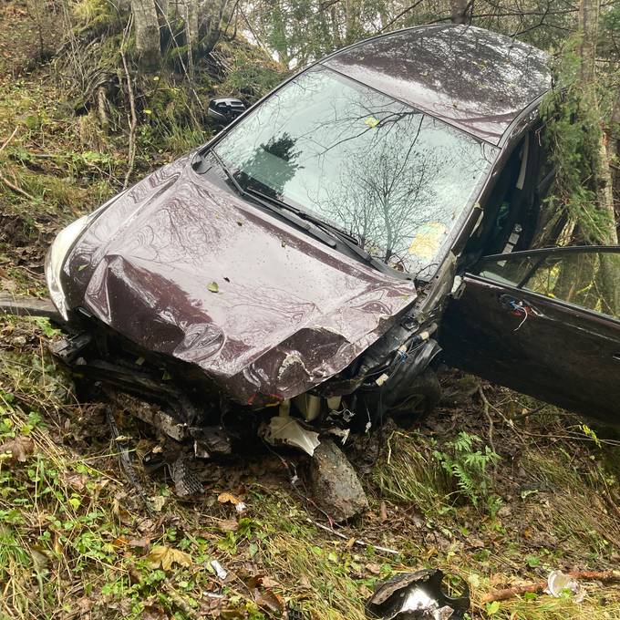 Rentner sichert Auto nicht – es rollt rückwärts Abhang hinunter