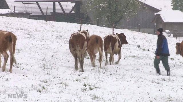 April-Schnee sorgt für Verkehrschaos