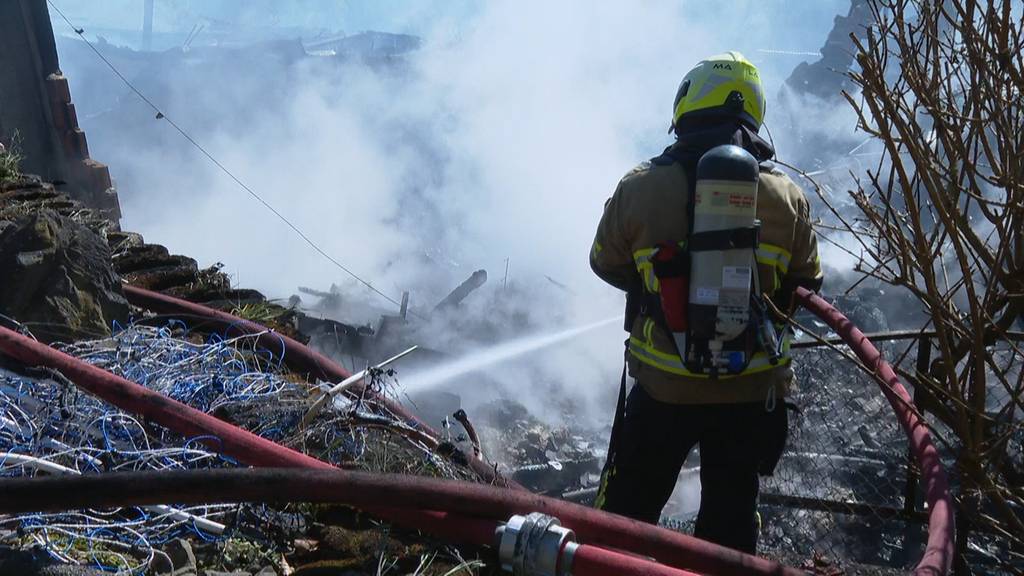Bauernhaus und Schopf in Gondiswil abgebrannt – fünf Kälber sterben