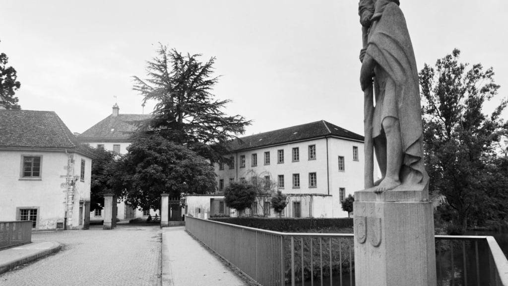 Auch in der «kantonalen Heil- und Pflegeanstalt» in Rheinau wurden Menschen «versorgt». (Archivbild)