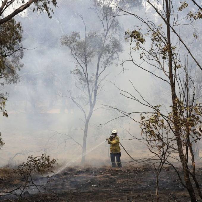 Australische Buschbrände setzten Riesenmengen Kohlendioxid frei