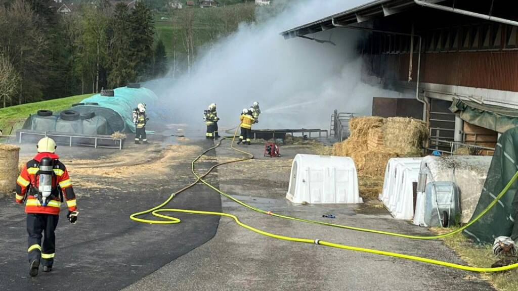 Beim Brand des Rinderstalls in Günsberg gibt es keine Hinweise auf Brandstiftung.
