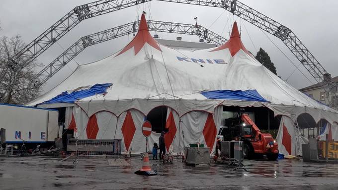 Circus Knie in St.Gallen: «Aufbau dauert sieben Stunden» 