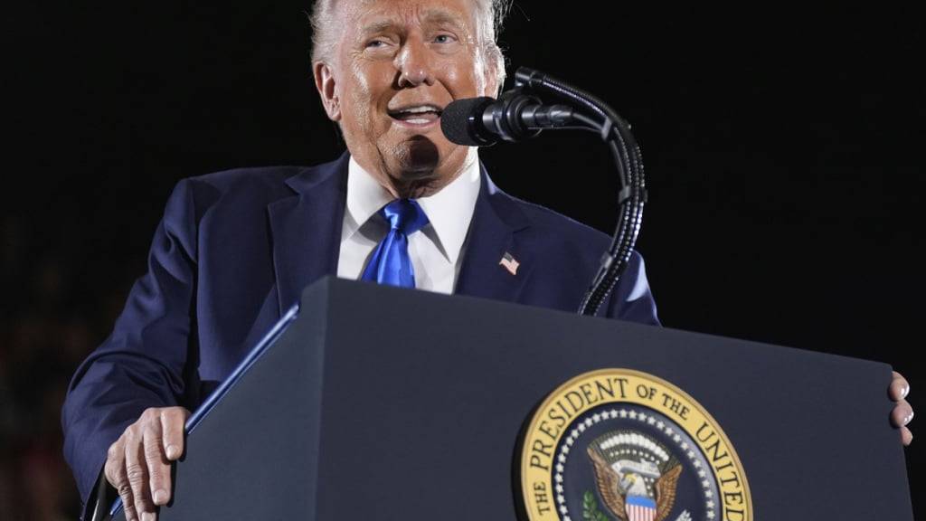 Aluminium, Stahl, Autos - und nun Autoteile: US-Präsident Trump hat auf die Einfuhr diverser Waren Zölle verhängt. Zwar gibt es einige Erleichterungen. Die Autobranche trifft es dennoch hart. (Archivbild)