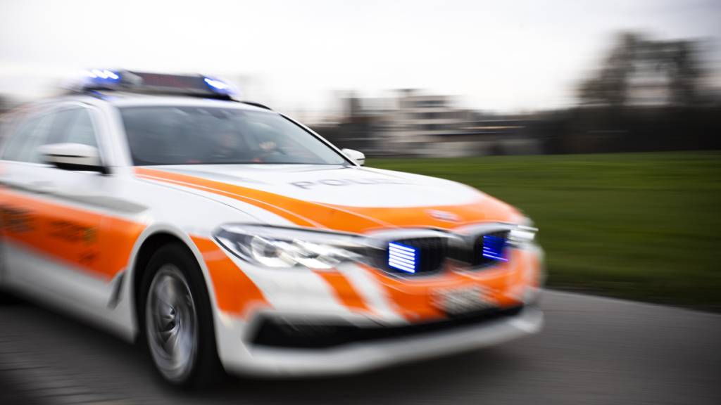 Eine Polizeipatrouille konnte den möglichen Täter nach einem Überfall in Schänis SG festnehmen. (Archivbild)