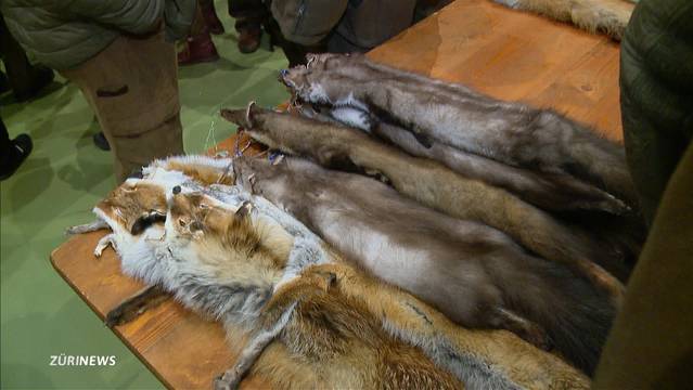 Mehrheit der Bevölkerung ist gegen die Jagd
