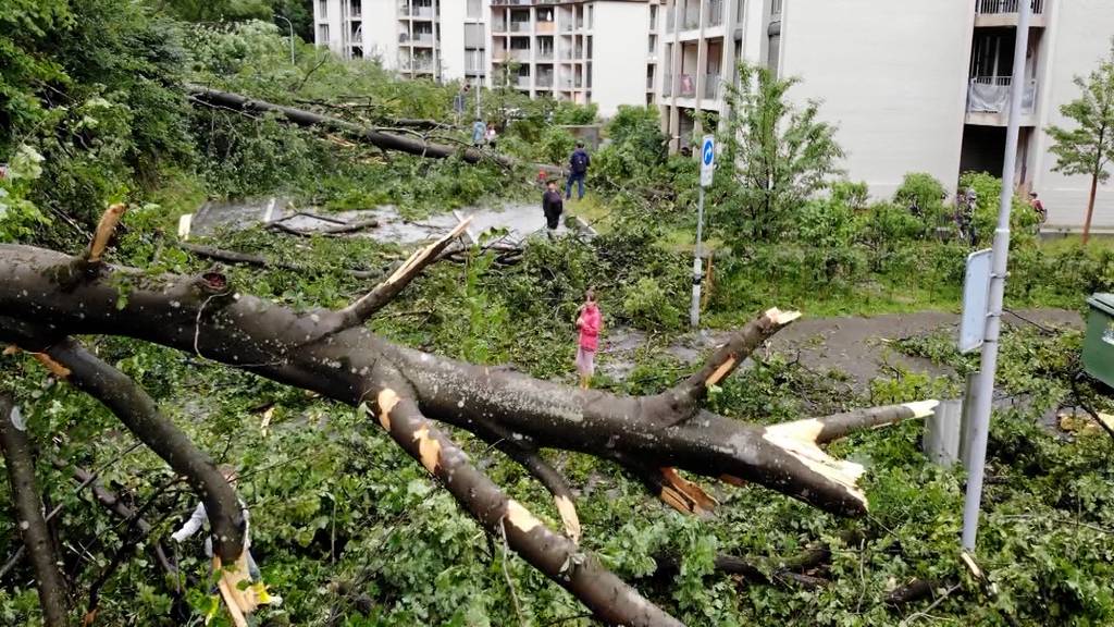 Schnee und Sturm kosten die Stadt Zürich über acht Millionen Franken