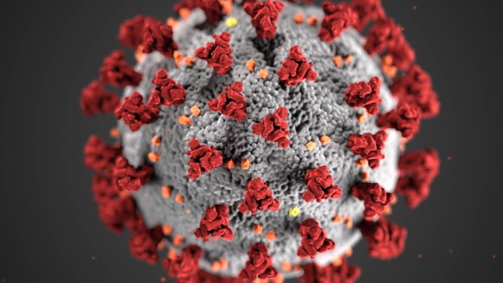 Die Zahl der neuen Ansteckungen mit dem Coronavirus in der Schweiz ist etwas gestiegen.
