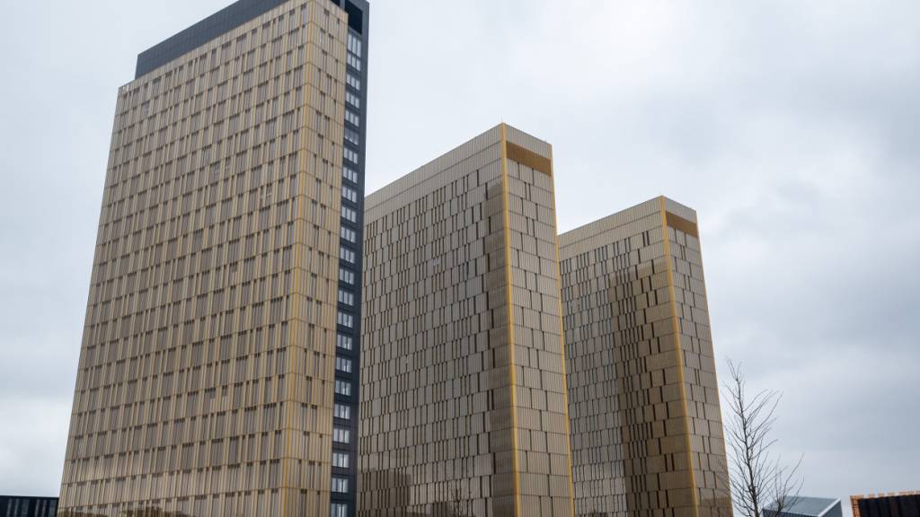 ARCHIV - Das Foto zeigt die Türme des Europäischen Gerichtshofs (EuGH) in Luxemburg. Foto: Harald Tittel/dpa