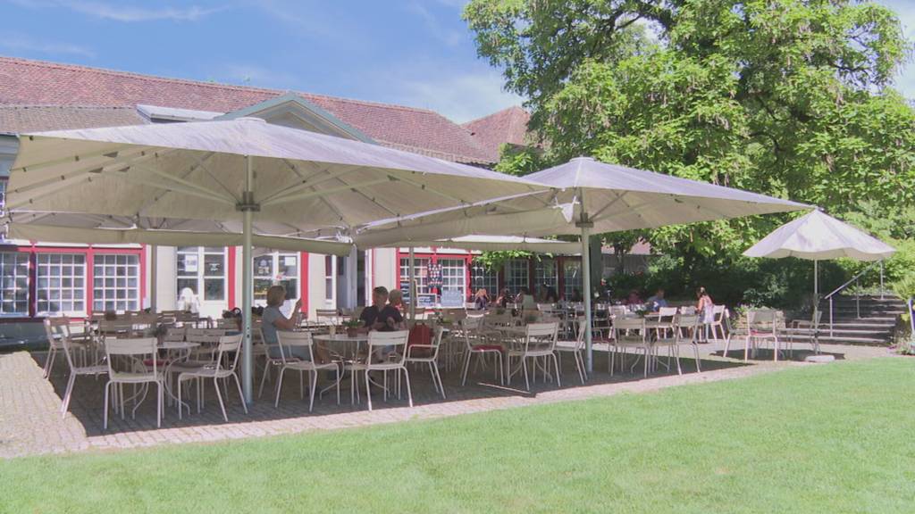 Ab April 2025: Vier Berner Betriebe übernehmen das Parkcafé Elfenau