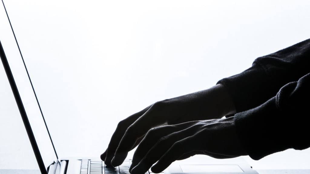 Die in der Gesundheitsförderung tätige Stiftung Radix, zu deren Kunden auch verschiedene Verwaltungseinheiten des Bundes gehören, ist Opfer eines Ransomware-Angriffs geworden. (Archivbild)