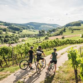 Aarau bis Brugg: Für Velofreunde