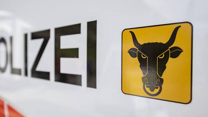 Markant mehr Straftaten im Kanton Uri