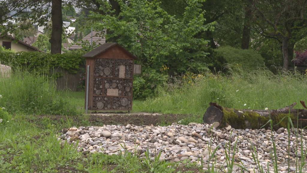 Mehr Natur in der Stadt Biel