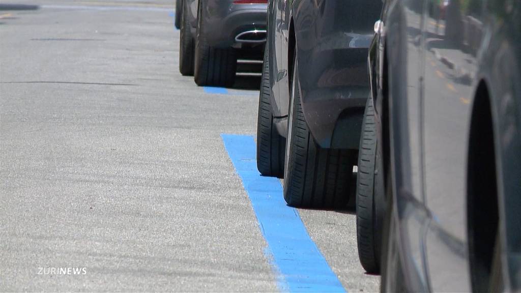 Preisüberwacher rüffelt Stadtrat wegen zu teuren Parkkarten