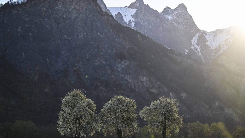 Der Mann entblösste sich auf einem Feldweg in Vilters-Wangs SG. (Archivbild)