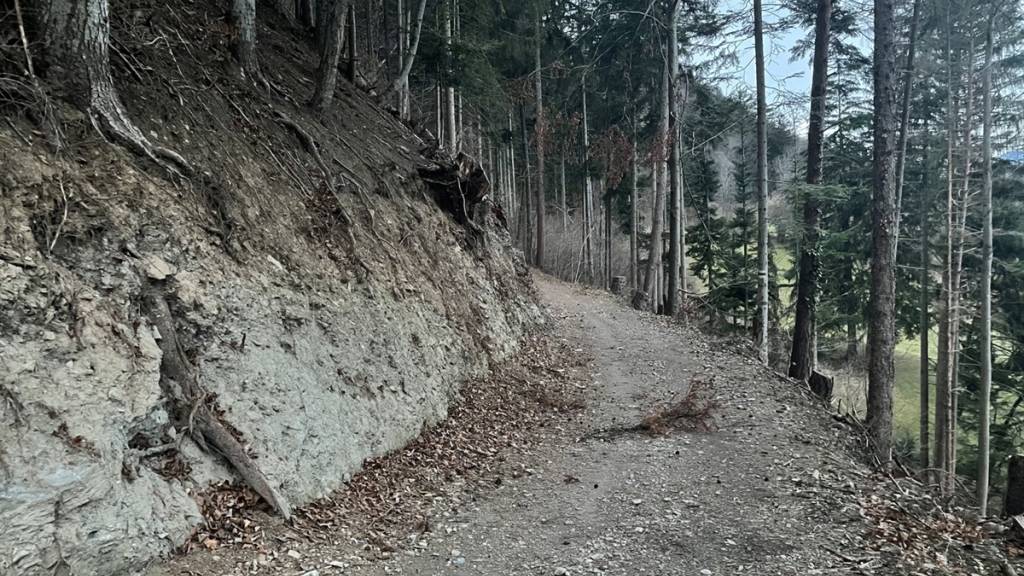 Auf diesem Waldweg in Chur fand eine Person am Mittwoch einen verletzten Wanderer.