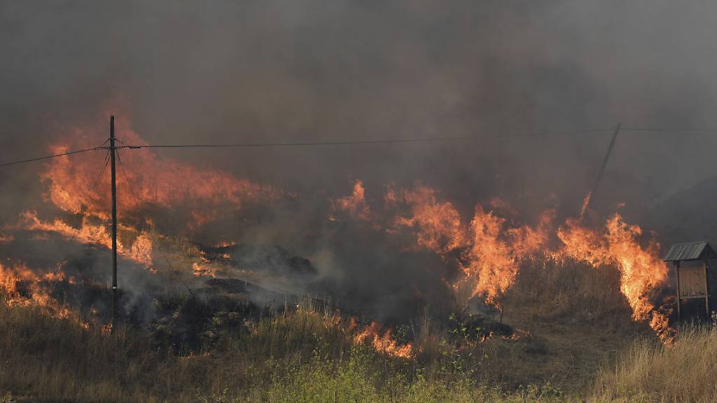 Flammen breiten sich in der Gemeinde Blufi aus. Sizilien, Sardinien, Kalabrien und auch Mittelitalien wurden von Waldbränden schwer getroffen. Foto: Salvatore Cavalli/AP/dpa