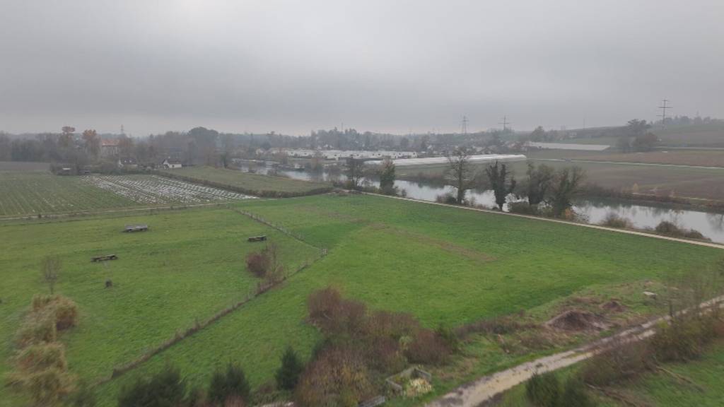 Erster Vogelgrippe-Fall am Bielersee bestätigt