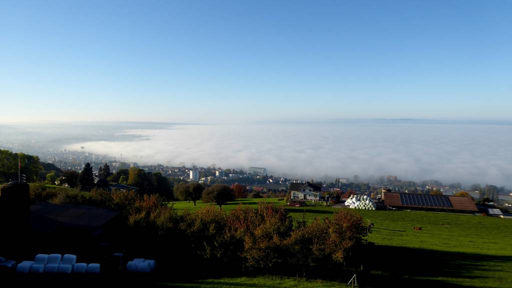 Nebel über Bodensee Rorschacherberg 1000184