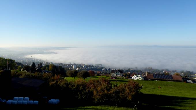 Von wegen Nebel am Bodensee: Jährliche Nebelstunden stark rückläufig