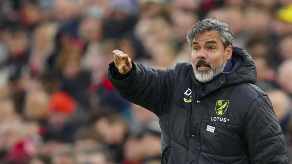 Zweite Entlassung für David Wagner innerhalb von gut zwei Jahren - nach YB nun Norwich City