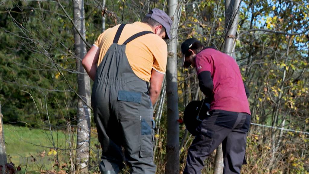 Hilfe aus der Sucht: Patrick Furrer findet auf Bauernhof zurück ins Leben