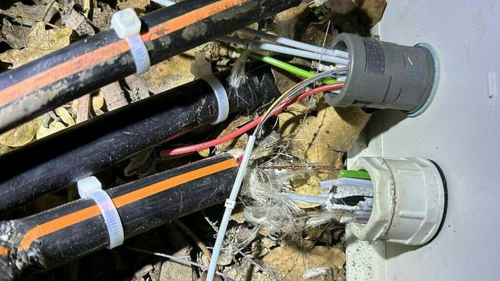 In Rheinfelden AG waren Ende 2023 mehrmals die Glasfaserleitungen durchschnitten worden. Fünf mutmassliche Täter im Alter von 19 und 20 Jahren sind angeklagt worden. Ihnen drohen teilweise lange Freiheitsstrafen (Archivbild)