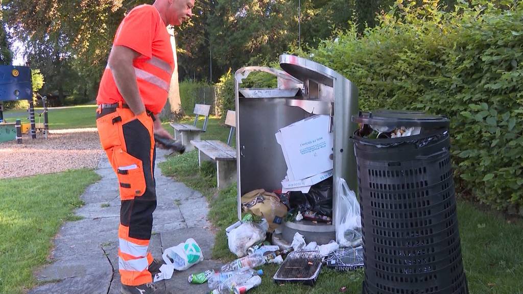 Abfallsünder suchen den Thunersee heim