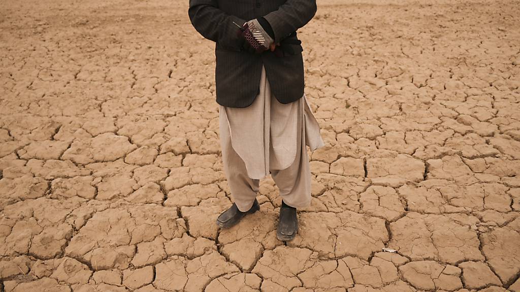 ARCHIV - Abdul Haqim begutachtet sein karges Feld, auf dem er früher Weizen anbaute, um seine 18-köpfige Familie zu ernähren. Hilfsorganisationen haben vor einer Zuspitzung der Hungerkrise in Afghanistan gewarnt. Foto: Mstyslav Chernov/AP/dpa