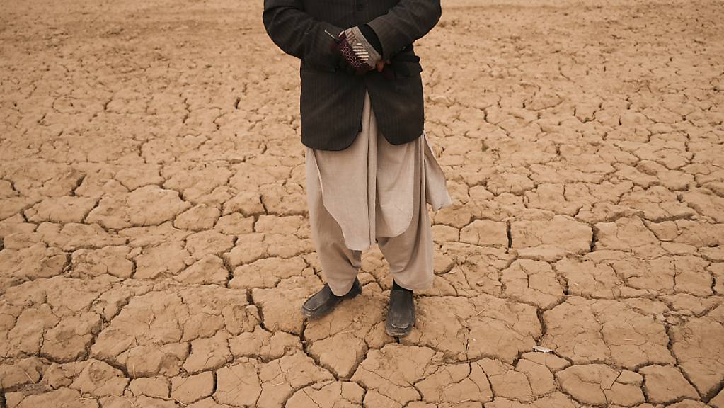 ARCHIV - Abdul Haqim begutachtet sein karges Feld, auf dem er früher Weizen anbaute, um seine 18-köpfige Familie zu ernähren. Hilfsorganisationen haben vor einer Zuspitzung der Hungerkrise in Afghanistan gewarnt. Foto: Mstyslav Chernov/AP/dpa